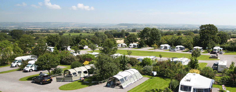 image of top oaks at old oaks